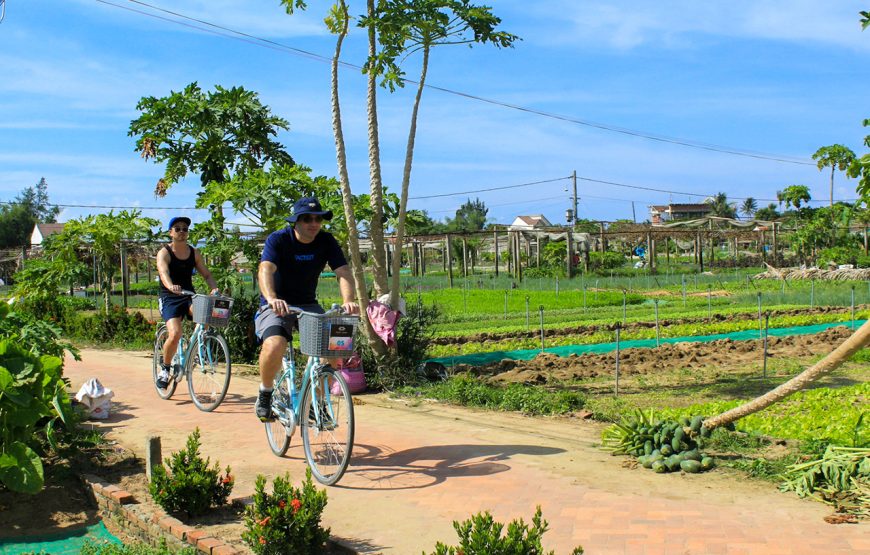 Private tour: Half-day Foodie Tour By Bicycle & Visit Tra Que Vegetable Village