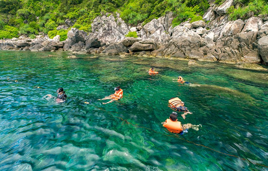 Private tour: Full-day Cham Island Tour & Snorkeling From Da Nang