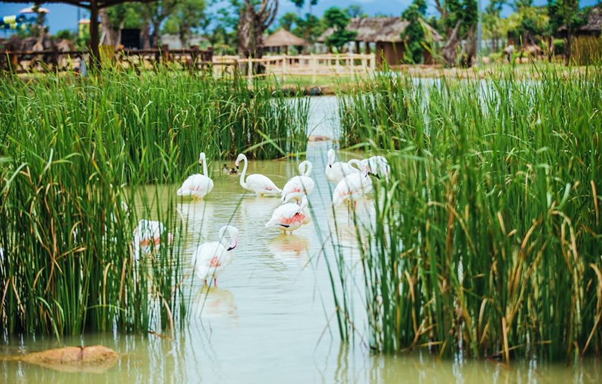 Private tour: Hoi An River Safari With Candle-lit Beach Dinner From Da Nang