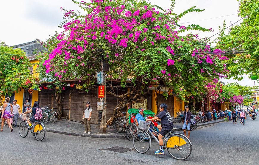 Private tour: Full-day Hoi An City And My Son Sanctuary Tour