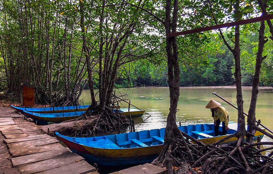 Full-day Can Gio – Monkey Island Excursion From Ho Chi Minh City