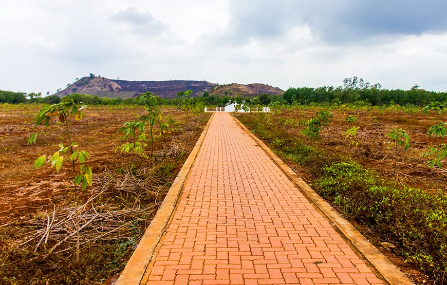Full-day Long Tan Battlefield Tour From Ho Chi Minh City