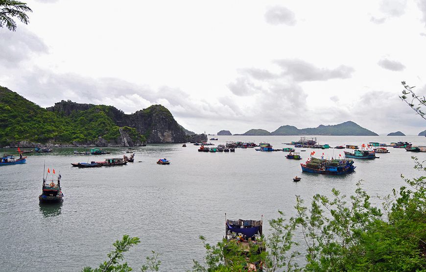 Full-day Explore Cat Ba Island From Ha Long
