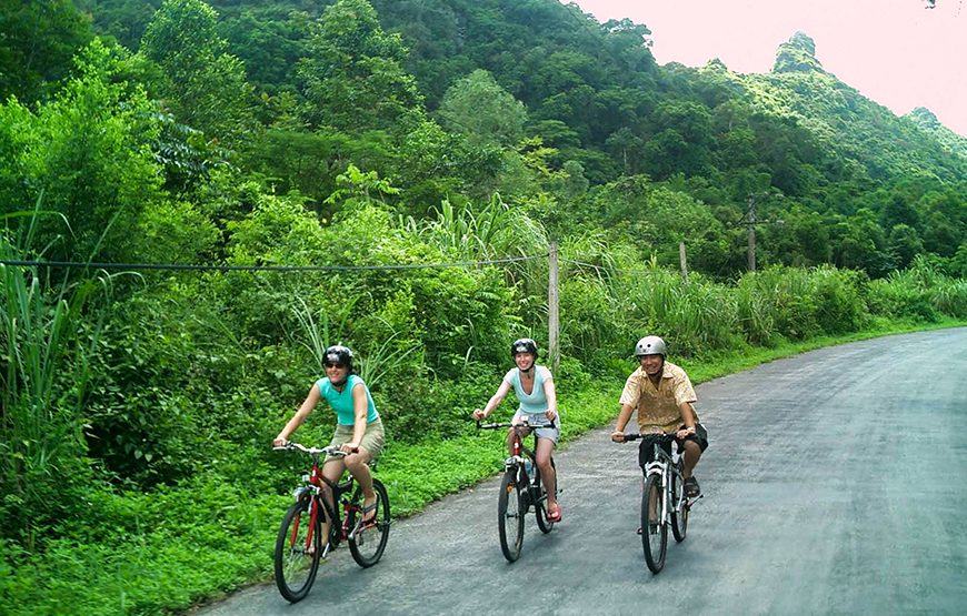 Private tour: Two-day Tam Coc & Cuc Phuong National Park From Ha Noi