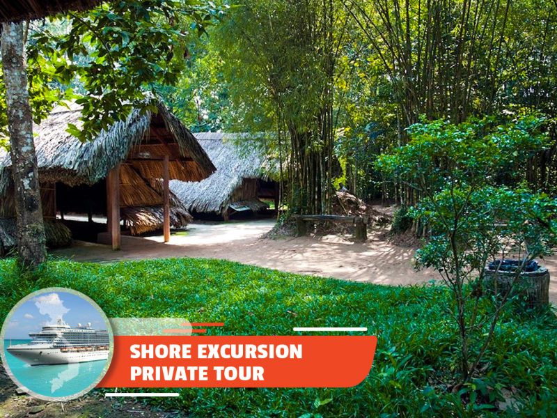 Private tour: Full-day Cu Chi Tunnels & Ho Chi Minh City Tour From Sai Gon Port