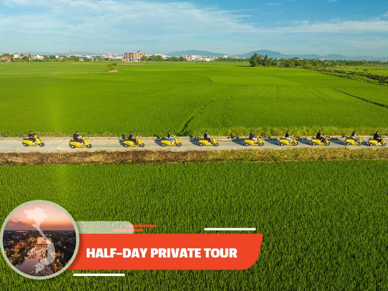 Private tour: Half-day Hoi An Countryside & Artists By Electric Scooter