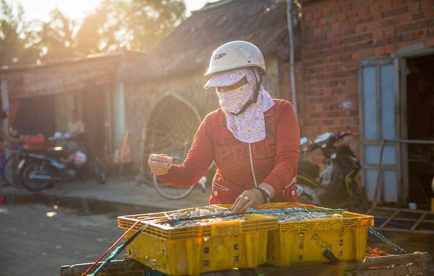 Full-day Countryside Trip To Hoi An’s South And An Exploration Of Sampan Producing