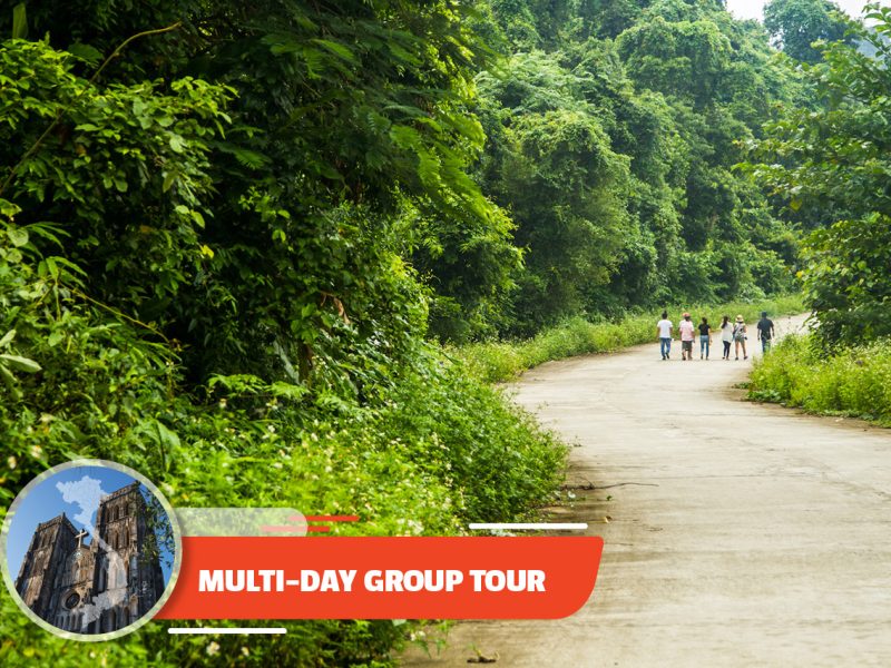 Two-day Tam Coc & Cuc Phuong National Park From Ha Noi