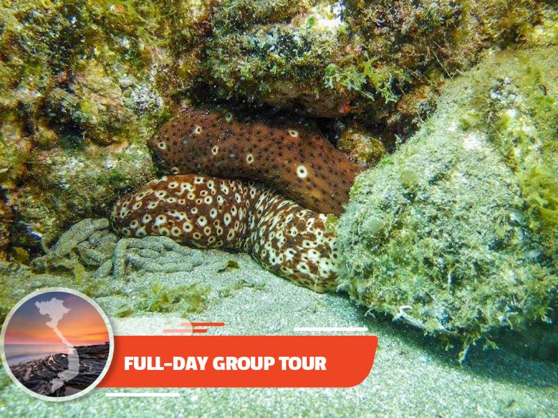 Scuba Diving – In The South Phu Quoc