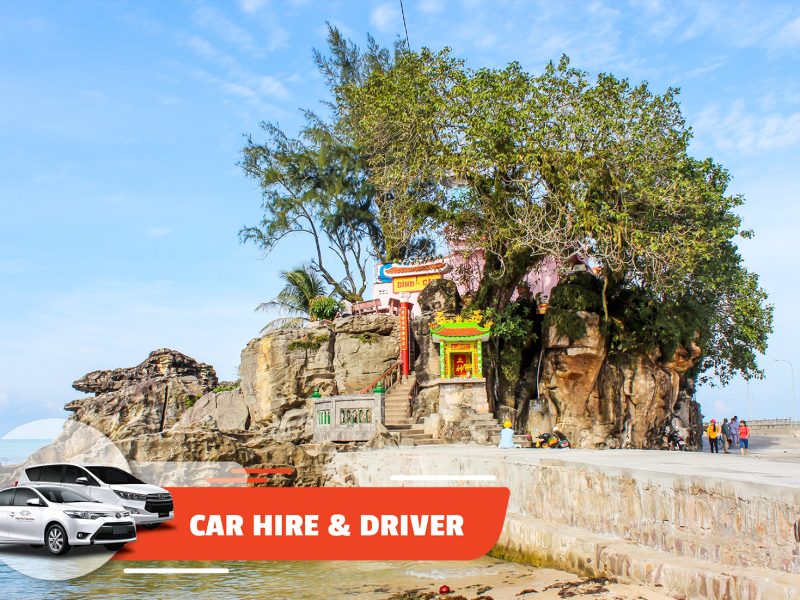 Car Hire & Driver: North Island (Full-day)