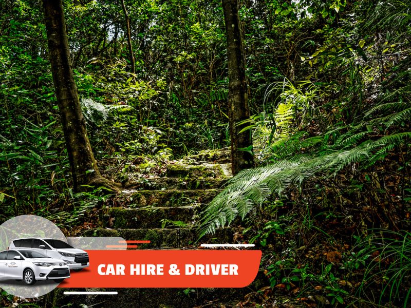 Car Hire & Driver: Hoi An – Bach Ma (Full-day)