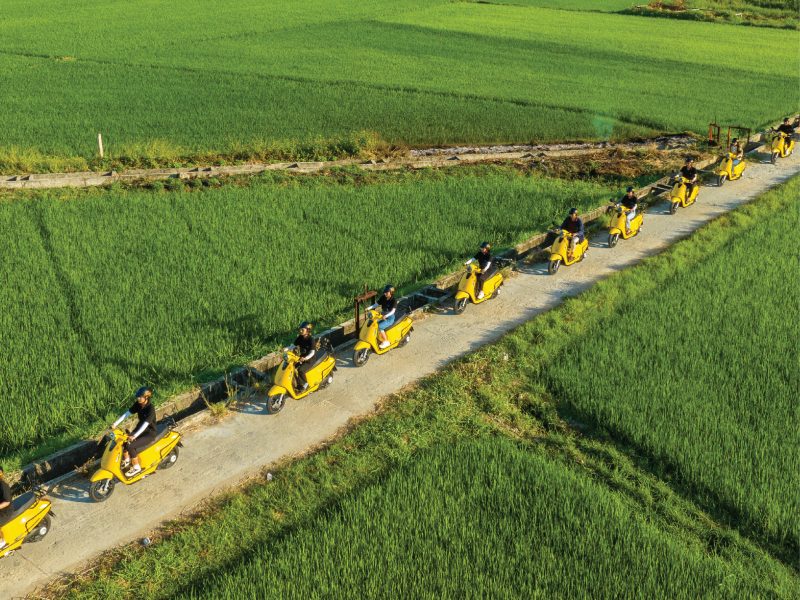 Da Nang: Marathon & Central Vietnam Explore 4-Night Package